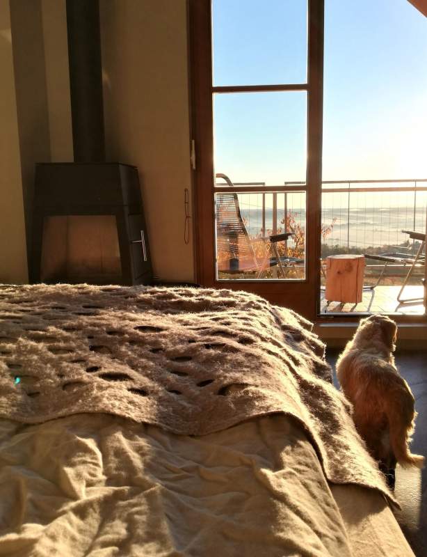 5a41ac89-85f5-45fa-9d55-bf007624c7e2