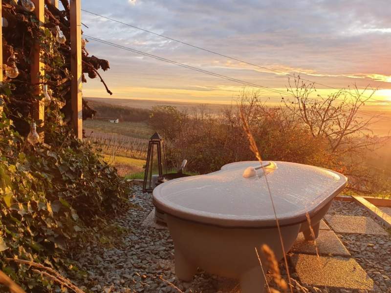 96b2f9b7-eeaa-40c0-96f1-c60d06735f3d