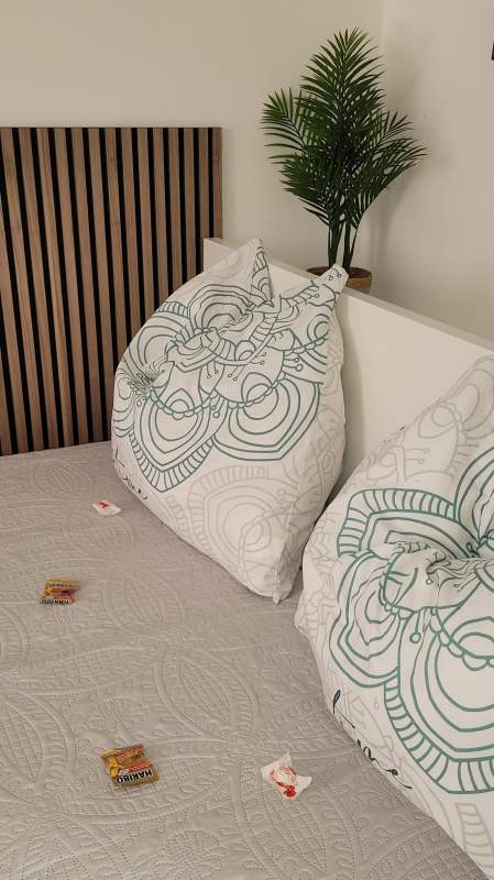 a3e2367a-4f27-4477-af77-38d212c4808c