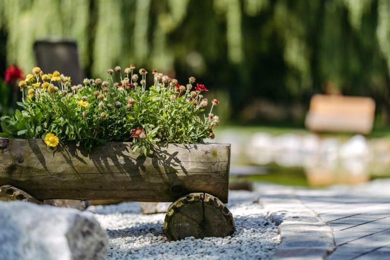 1385d008-afc6-46e0-a226-77171b5a631b