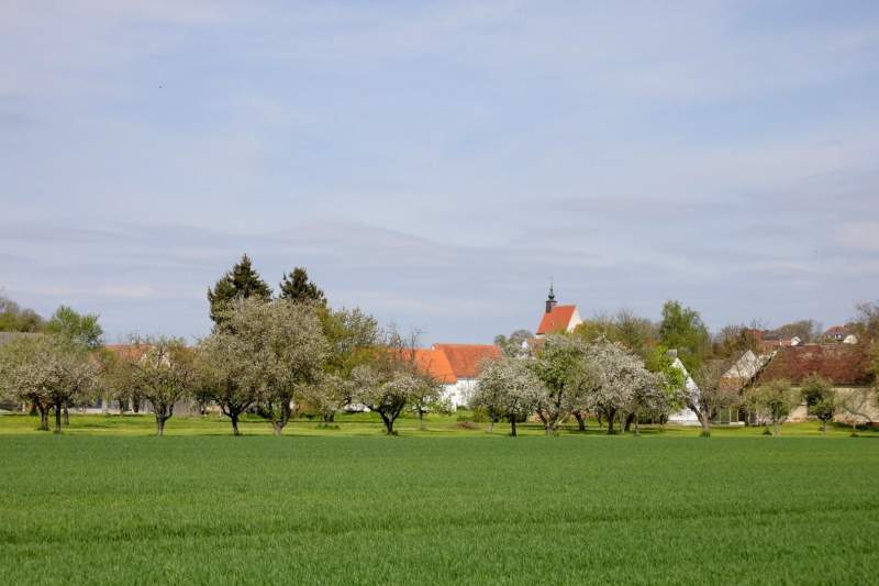 3370483d-360b-4c8f-827e-135a15347ca7