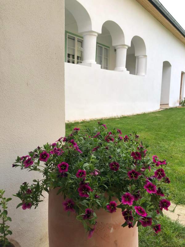 71f27a6b-1f40-467d-bf79-4a870244c51b