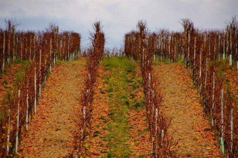 3adef02e-fa9c-4684-ab5d-2307e0c54d2e