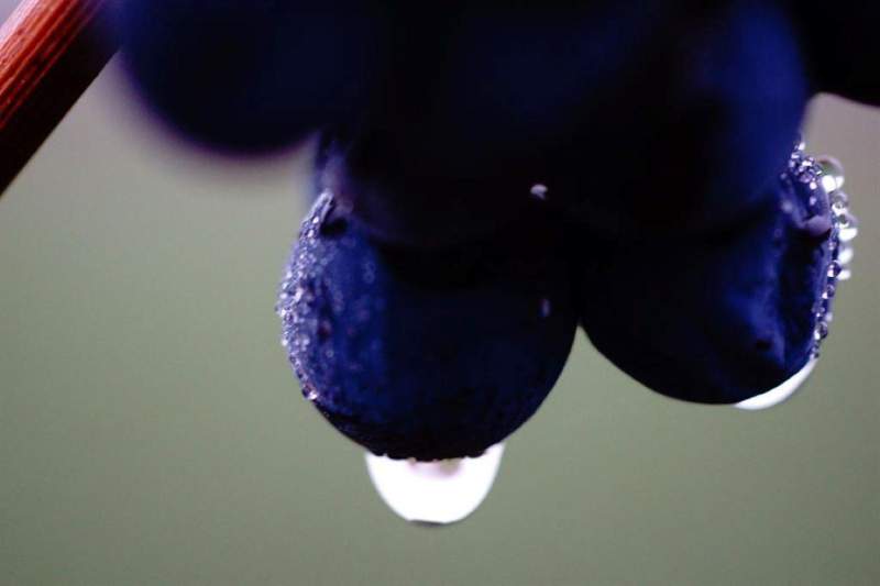 51b3c563-7838-429f-bde8-14546c68385d