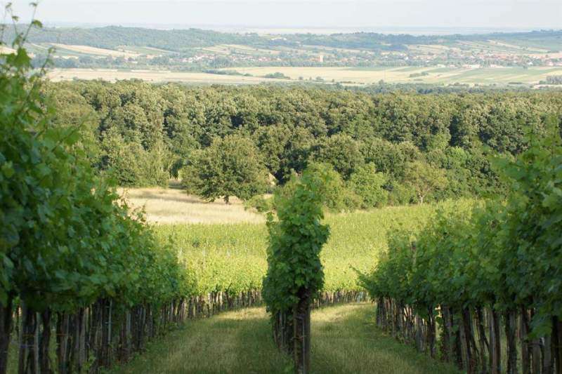 707f4c1e-9c0d-4345-8058-256408a6ec0a