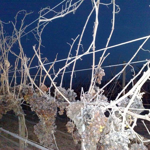 2266da8f-1382-433a-bfb4-7c6a110e0e44