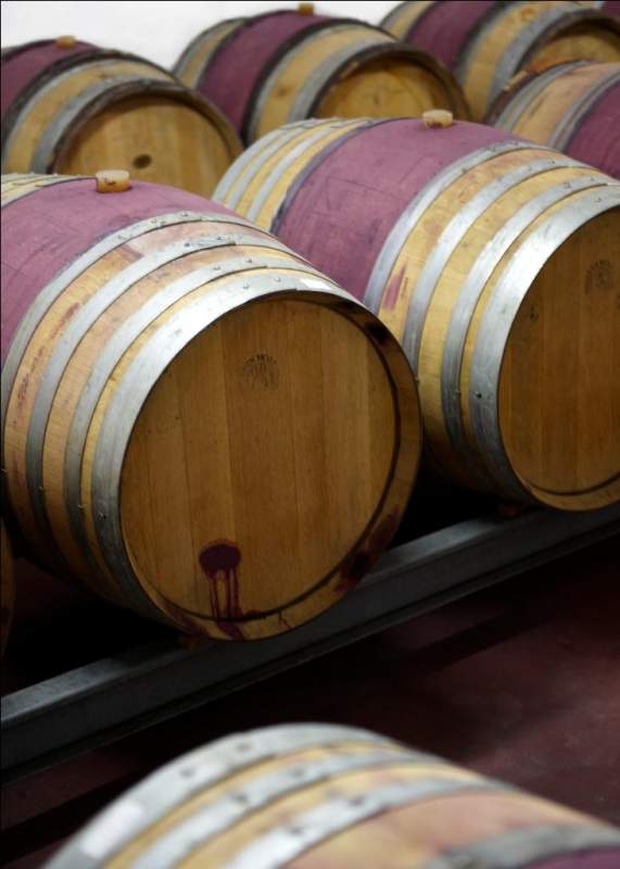 457cab84-860e-45b0-b3a7-07456d19ab08