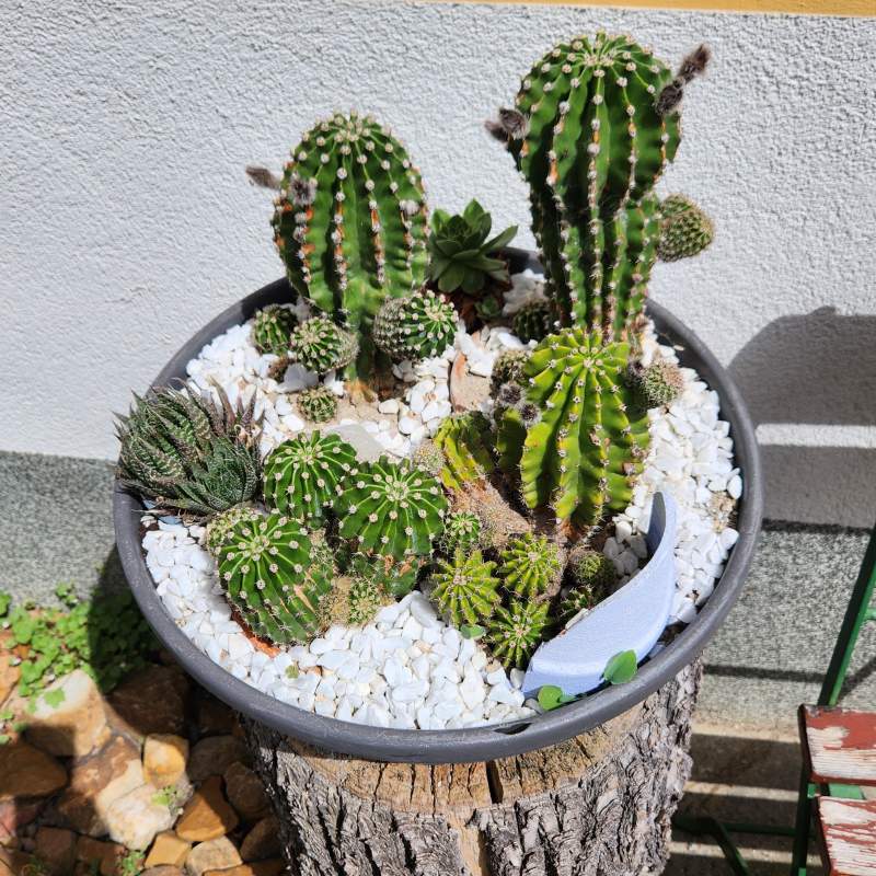 6d1bdaf5-a2ed-4cd1-90bd-6f07472f413d