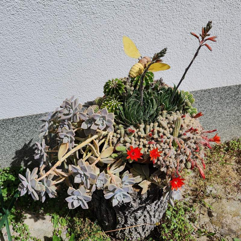 f62a0384-424d-4770-9dcc-7ffd6441736e