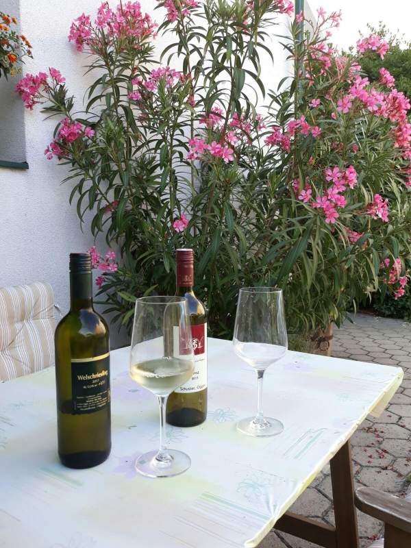 1e3d036b-9de4-418f-aba8-32d938a51e26