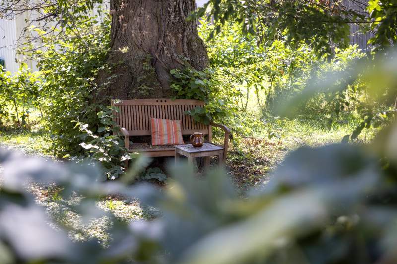 b5a21e70-8d0e-4e14-9dc5-b76bdb3f100d