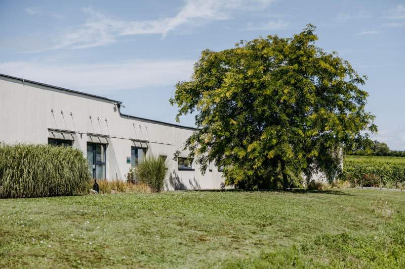 b66b9df3-227f-4e2c-9fb5-a3c6b0b14893