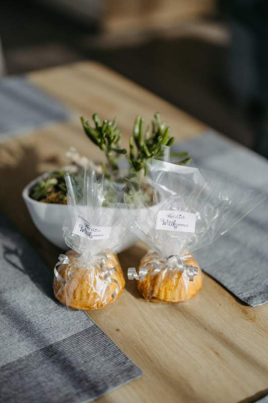 3e5431bf-dd70-4558-9161-b4077776b8d0