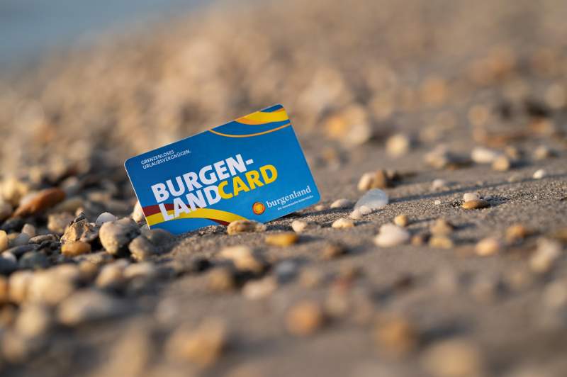 79546cbe-0297-4b45-b5f3-68061d865dd9