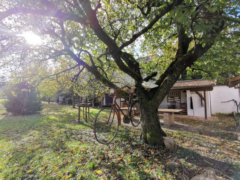 ad6d0548-15ea-4a80-9e58-3635ba4e3283