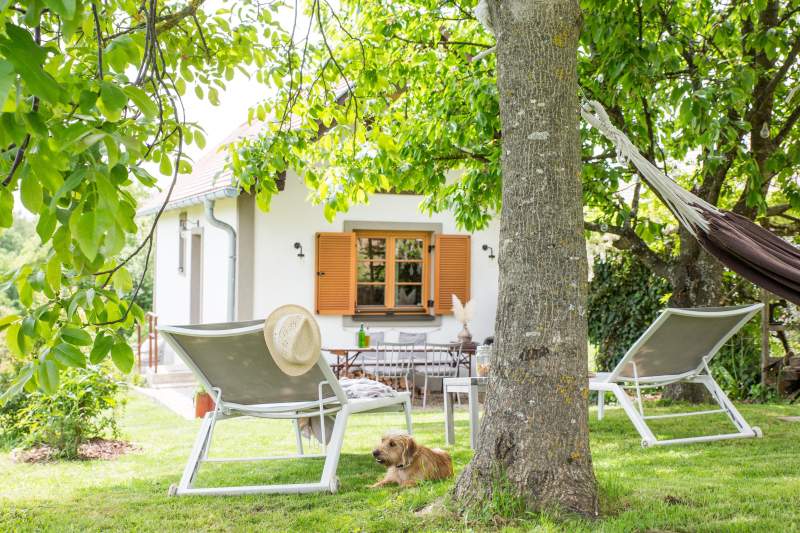 b3e38ed4-84aa-4753-868e-0258e4b994c6