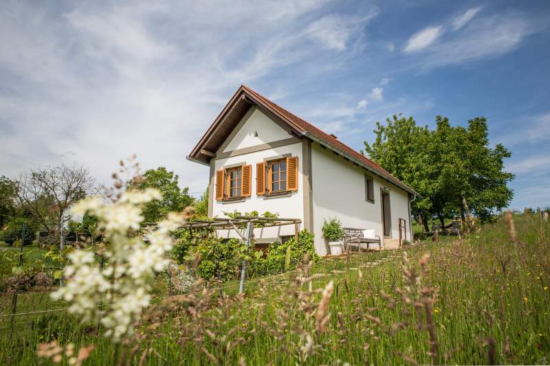 b9b80371-36cb-4b6c-96d2-b2df1d717811