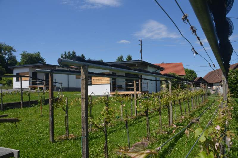 9da3f0cb-4395-4e1b-8c60-2e919a0a9bfd