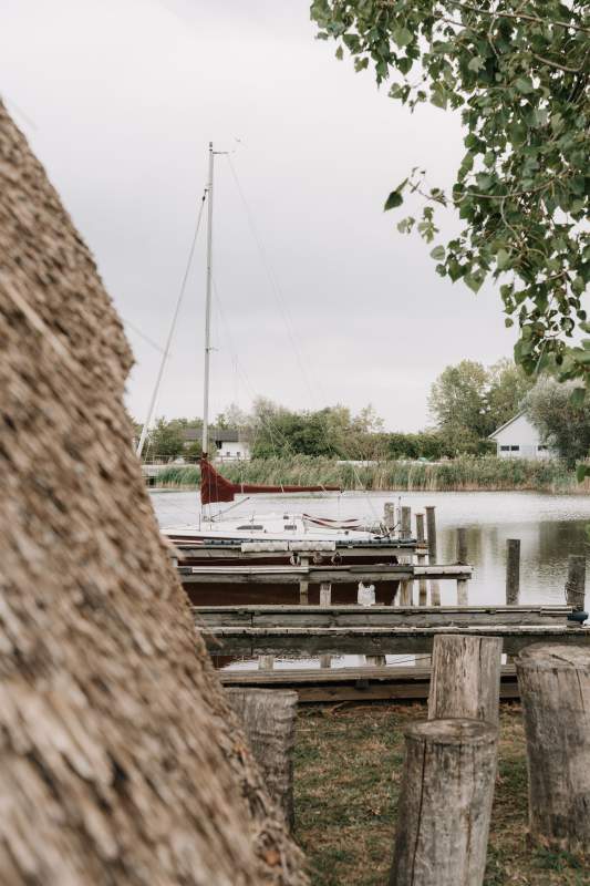 4a15c29a-7f8f-44c6-bb29-3b256574cdae