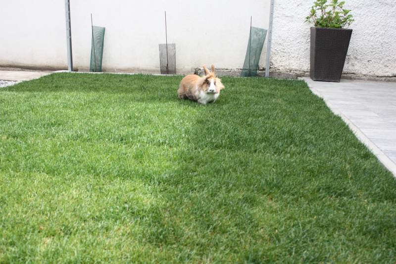 367d5893-eb4a-4f21-8d9f-0869f6faf0d5