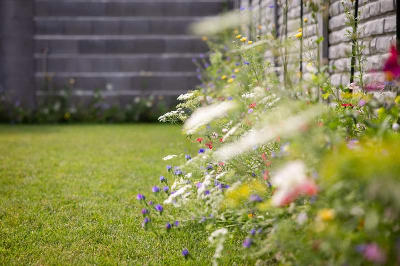 18995f9c-4176-42a7-addf-216d3e927565