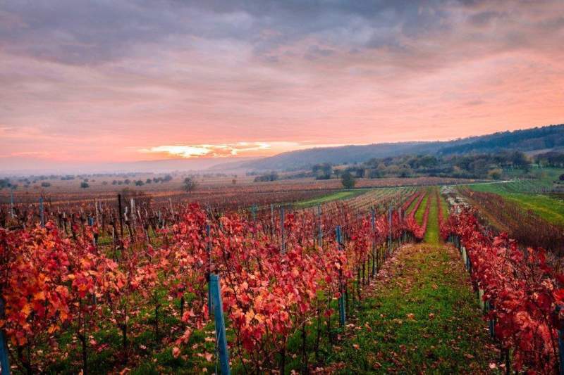 52da6f1c-2258-4ec2-b3c6-56df28a9dd56