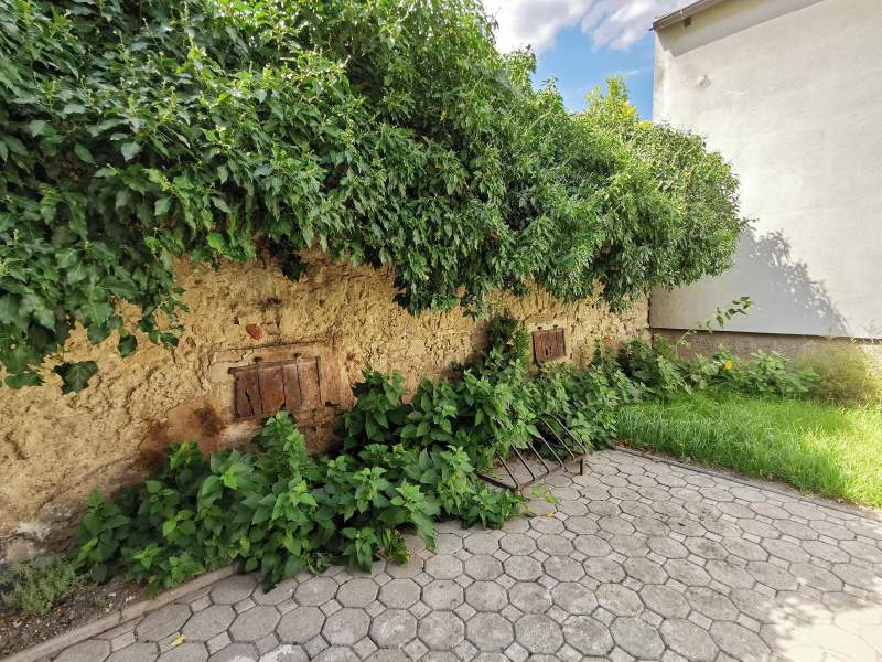 ef91a7fd-e46d-4402-821e-cb59aaf29fdc