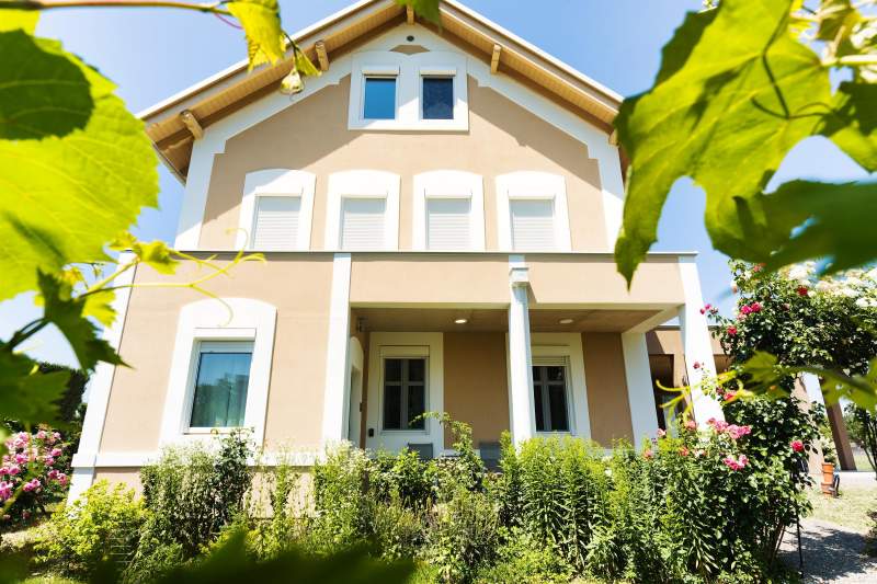 246a8fae-648c-4efc-8bba-c50e2a8ca8a2