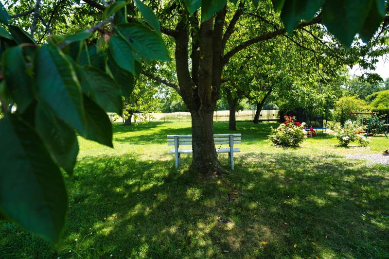 33da56c7-09af-402d-bd65-112d93e752ef