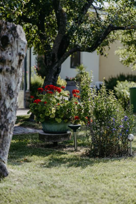 06517b7b-9514-4e4a-9efe-018225891319