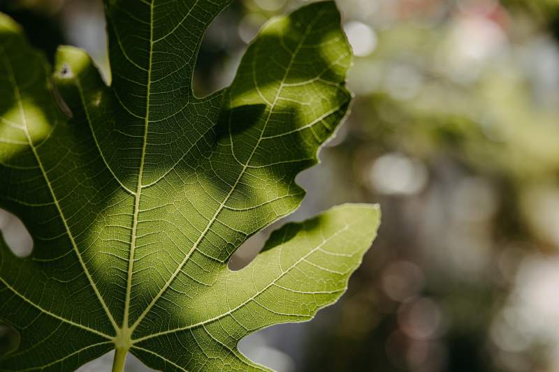 726ee21f-2dd5-46ee-a7a7-d13efe63d614