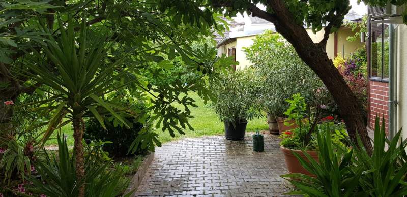 95c4fd99-88db-4a1e-a5ef-abd6763290cb