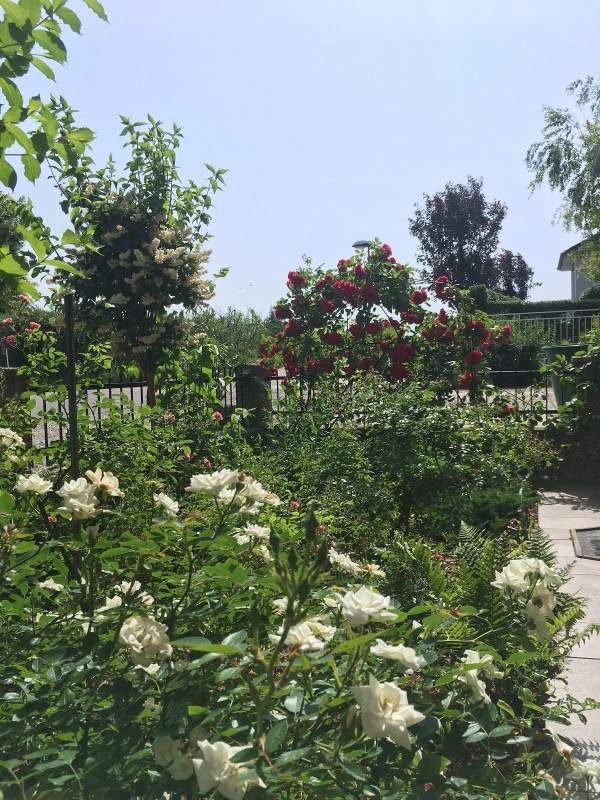 a82f0116-5dc0-4c26-a406-2576f0dab173