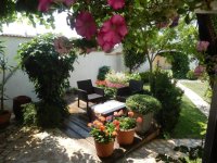 main.jpg