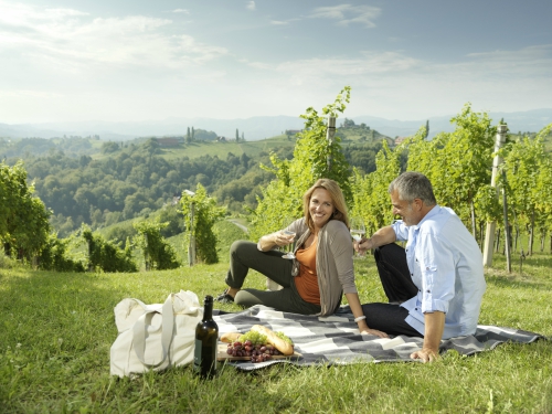 Weingarten Suedsteiermark Oesterreich Werbung Peter Burgstaller
